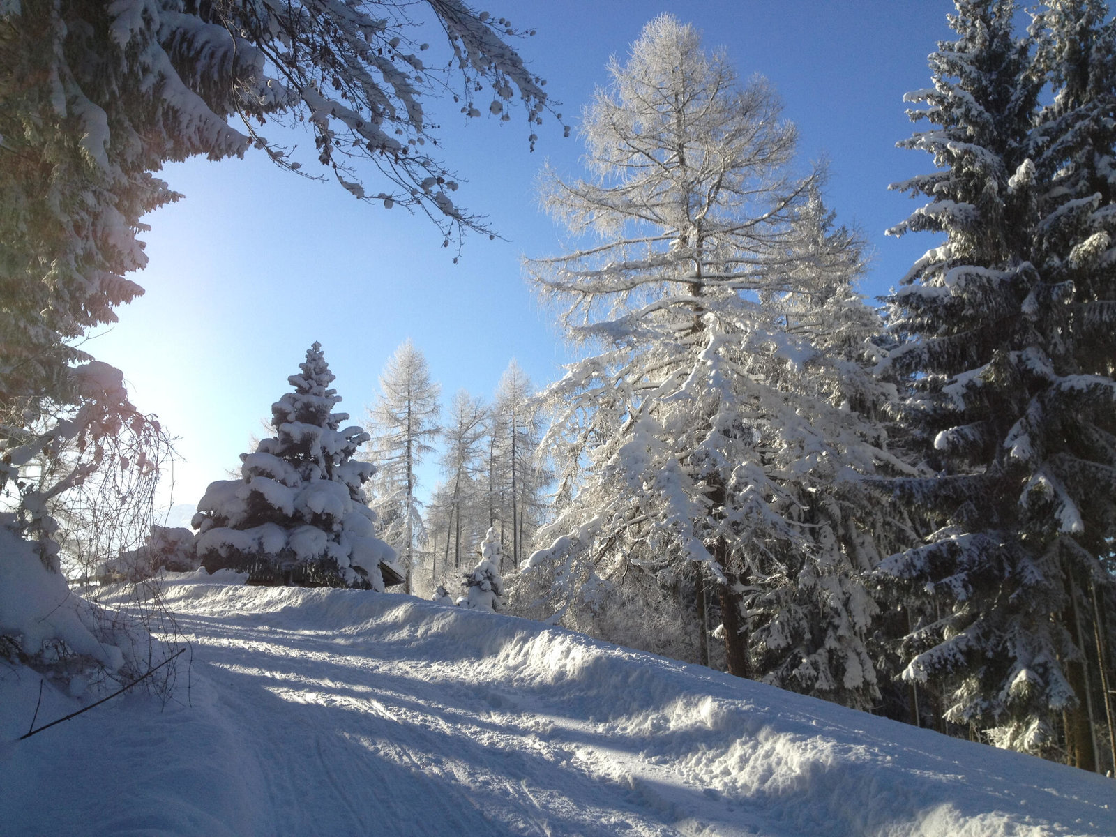 Forststraße zur Födinger Alm im Winter