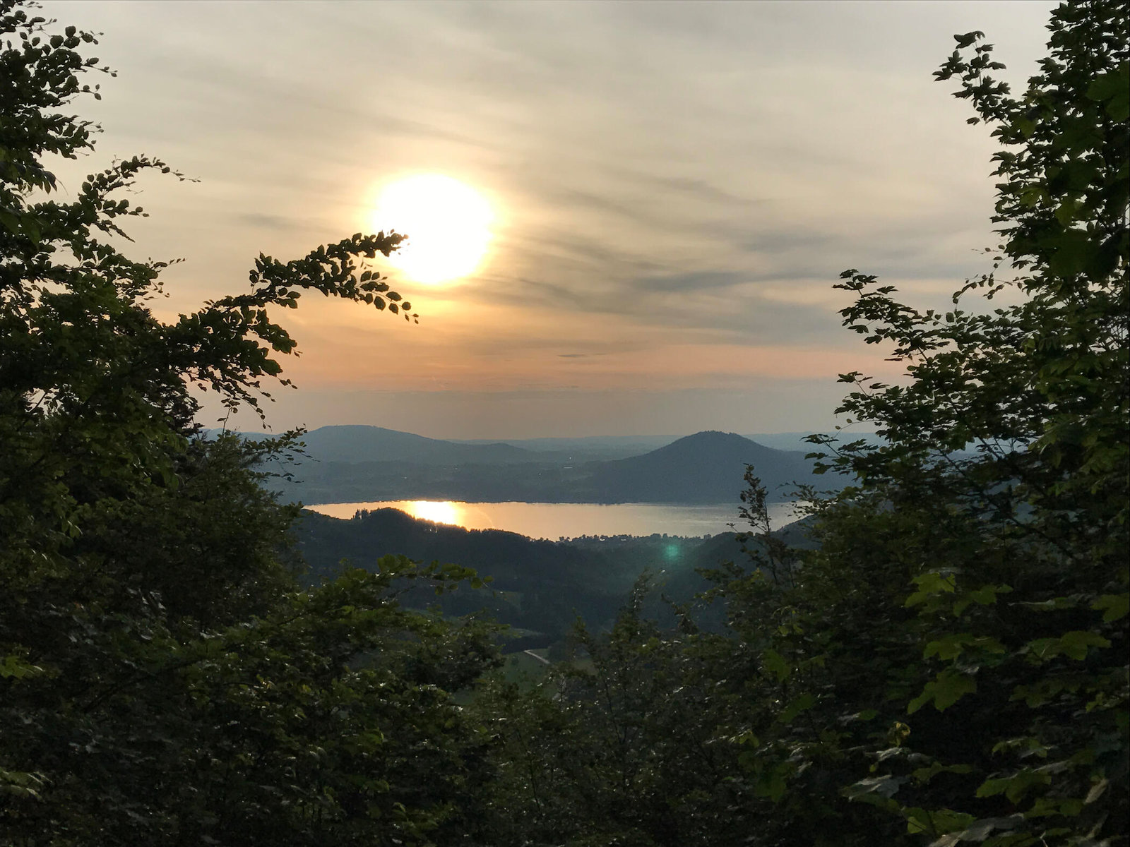 Panoramablick auf den Attersee von der Födinger Alm